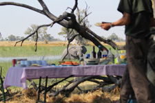 Botswana-Okavango Delta-Okavango Big Five Safari